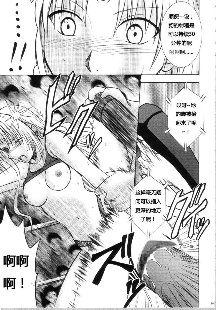 Sephiria Hard Soushuuhen