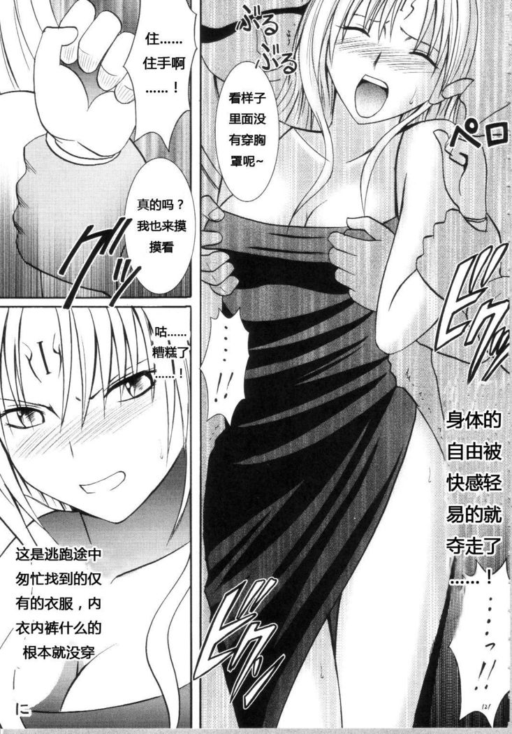 Sephiria Hard Soushuuhen