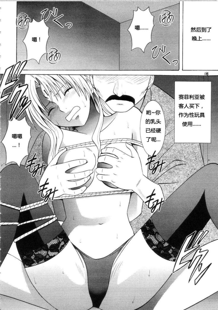 Sephiria Hard Soushuuhen