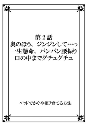 Bed de Kaguya Hime o Sodateru Houhou 1 - Page 28