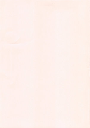 Image 2862225