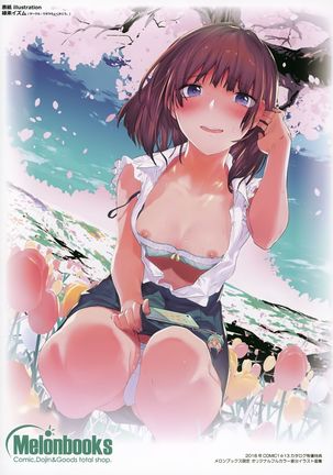 Melonbooks Collection of Pictures -another .ver- Page #17