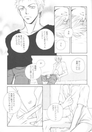 Image 11305551