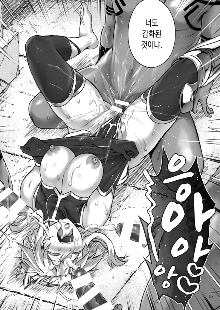 T-31 DoDo