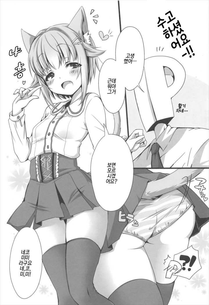 Nekomimi Sachiko wa ii Sachiko | 네코미미 사치코는 착한 사치코