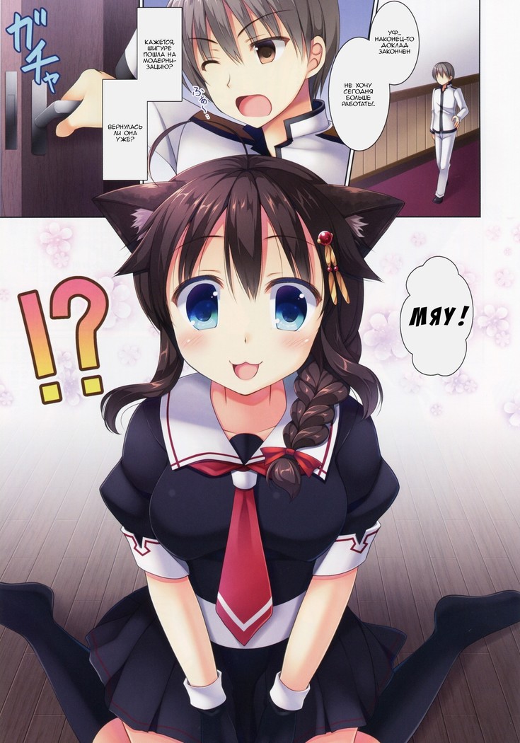 Neko-ka Kaishuu o Okonaimasu ka?
