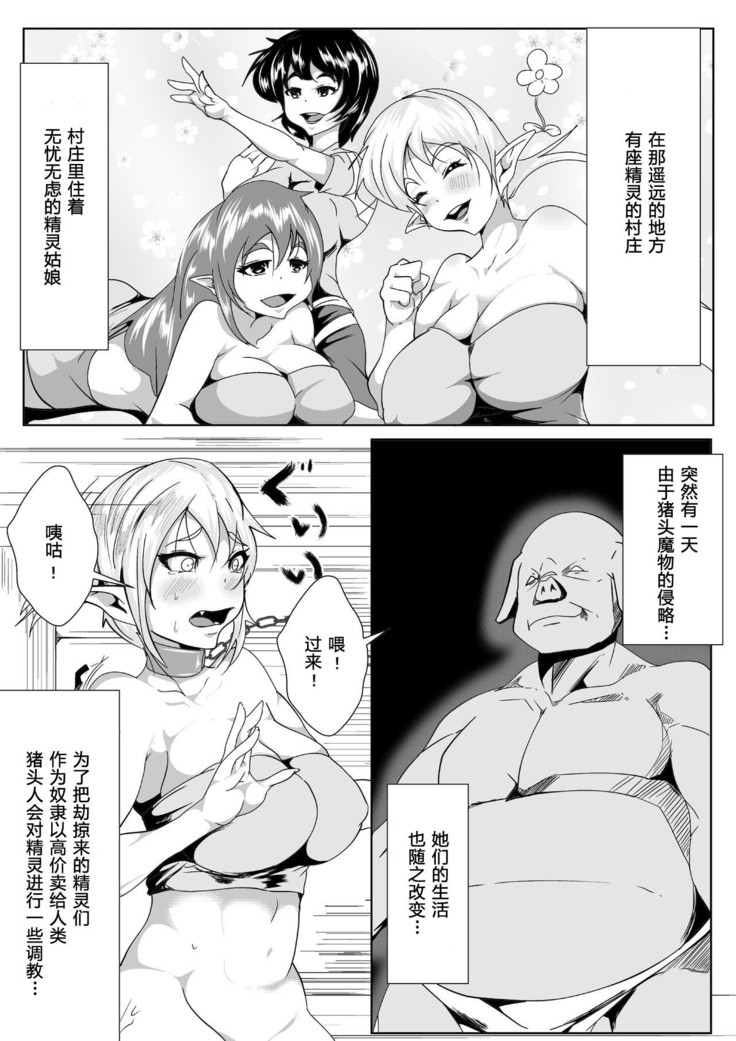 Jirasare Elf no Choukyou Nikki