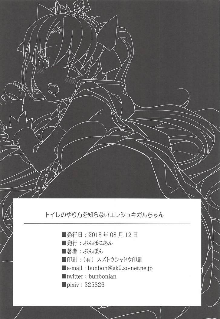 Toile no Yarikata o Shiranai Ereshkigal-chan