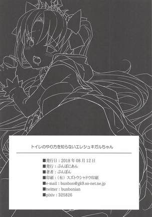 Toile no Yarikata o Shiranai Ereshkigal-chan - Page 24