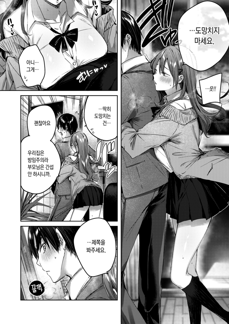 Ayamachi Komachi