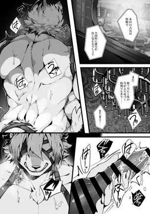 Image 14313503