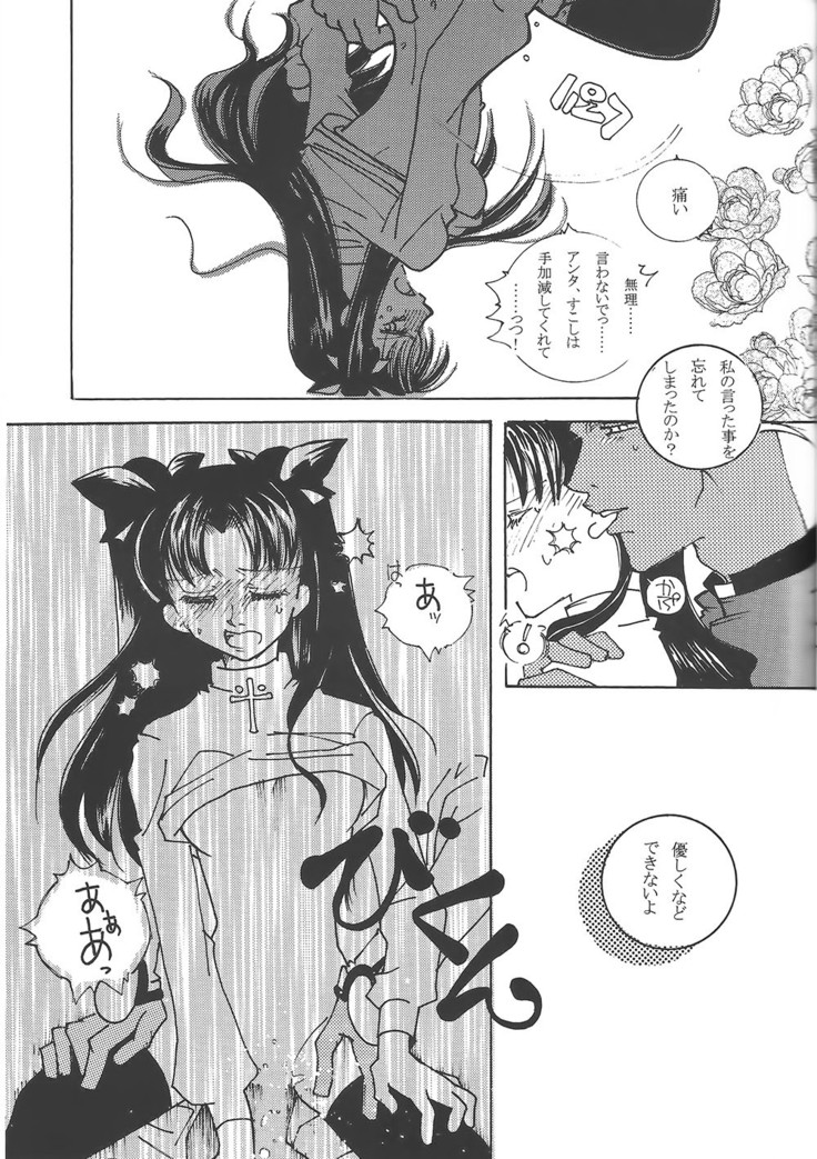 Houseki Hime to Akai Kishi