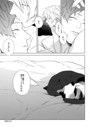 4P Page #32