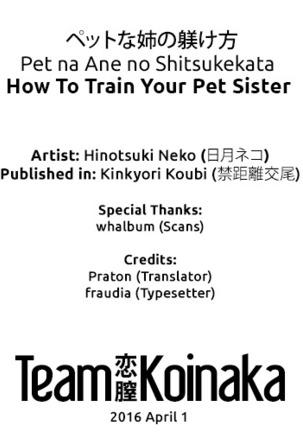 Pet na Ane no Shitsukekata | How To Train Your Pet Sister Page #21