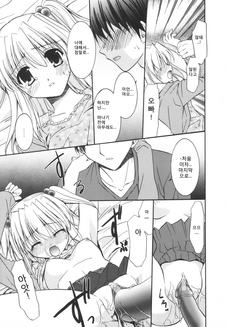 Precious Shokai Genteiban
