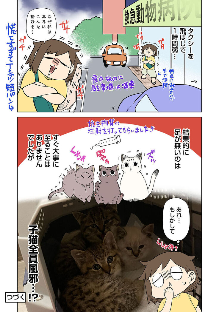 COMIC Ananga Ranga Vol. 81