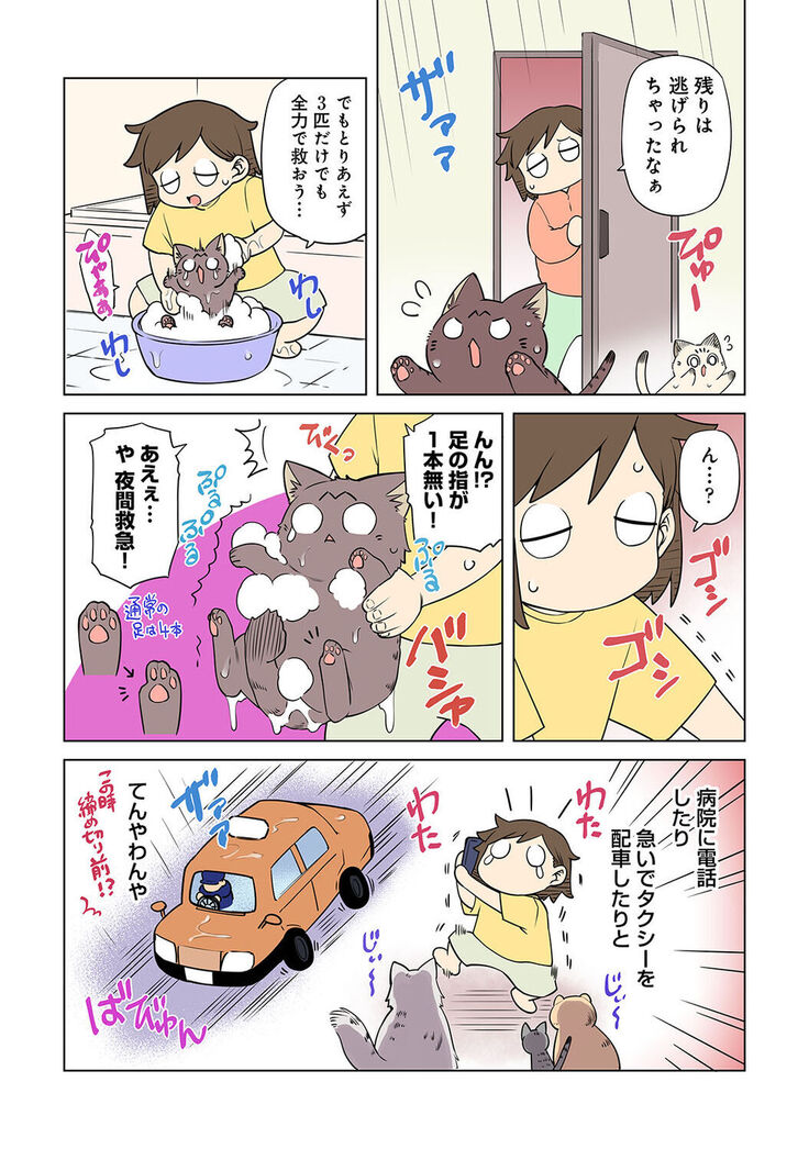 COMIC Ananga Ranga Vol. 81