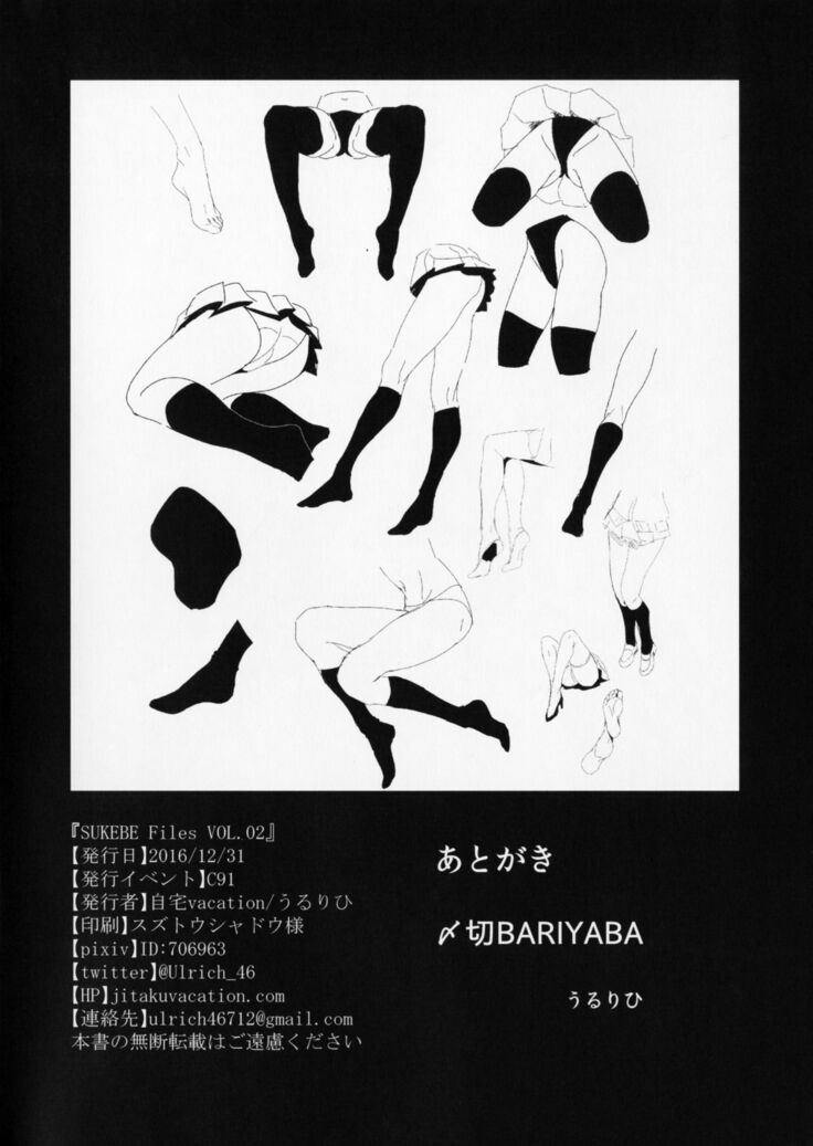 SUKEBE Files VOL.02
