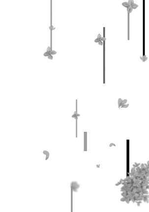 No Doubt Lilac | 无疑的紫丁香 Ch. 3-4 Page #76