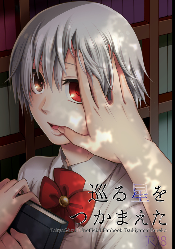 Meguru hoshi o tsukamaeta sample