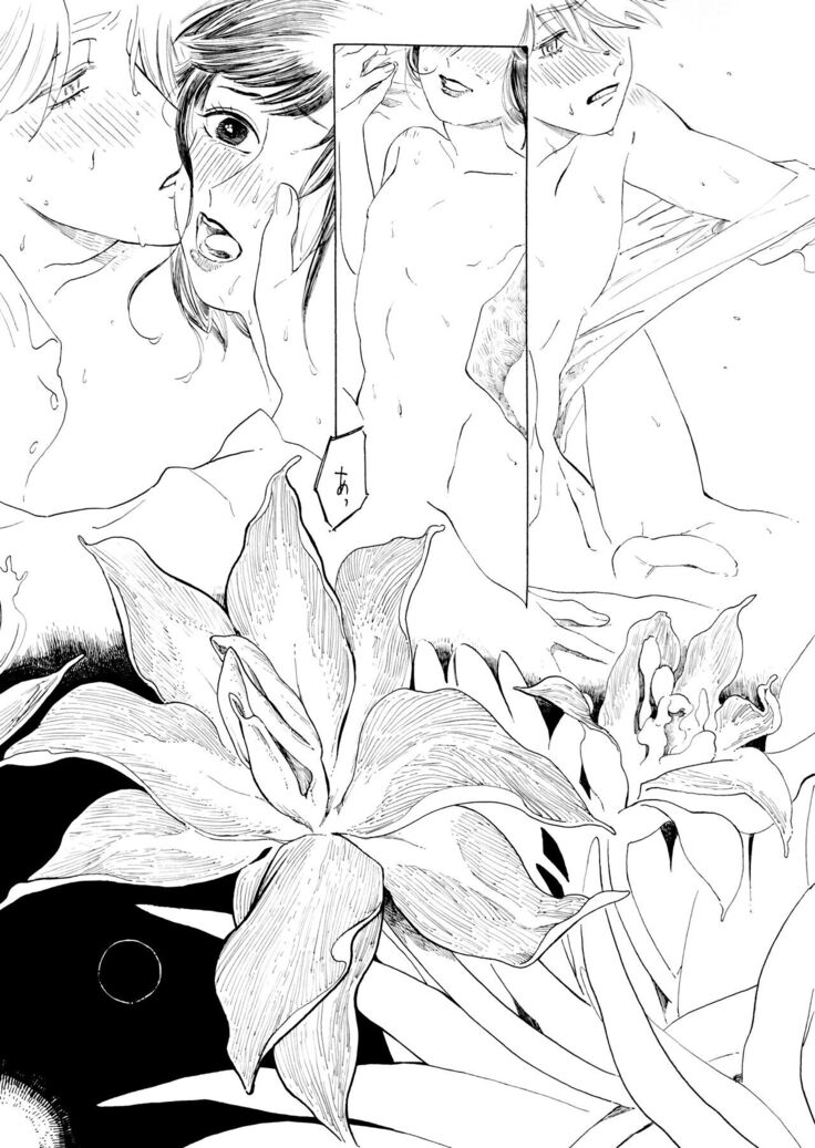 Day Lily