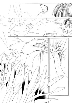 Day Lily Page #16