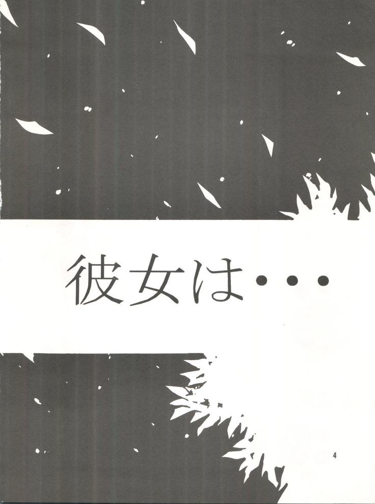 Wanpaku Anime Vol. 9 Kare Kano Tokushuu Kanojo wa...