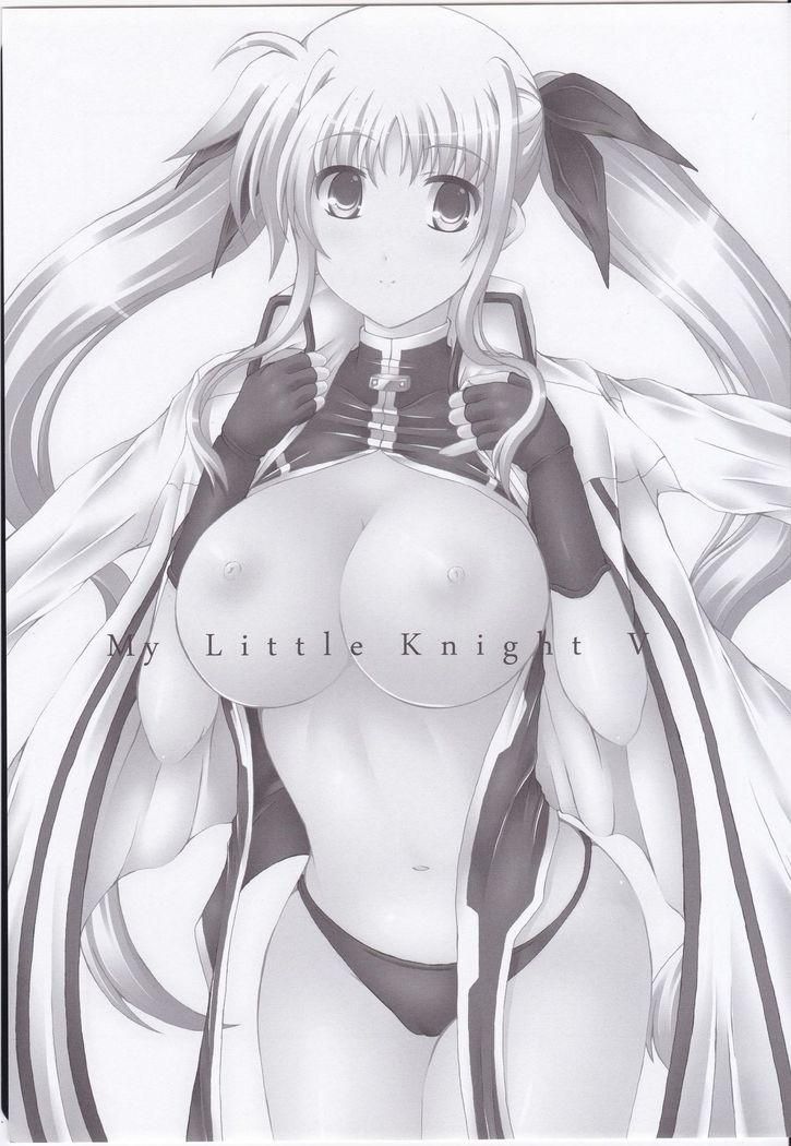My Little Knight V