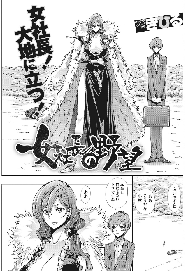 Kirei na Hito to H no Houteishiki