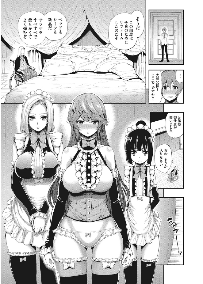 Kirei na Hito to H no Houteishiki