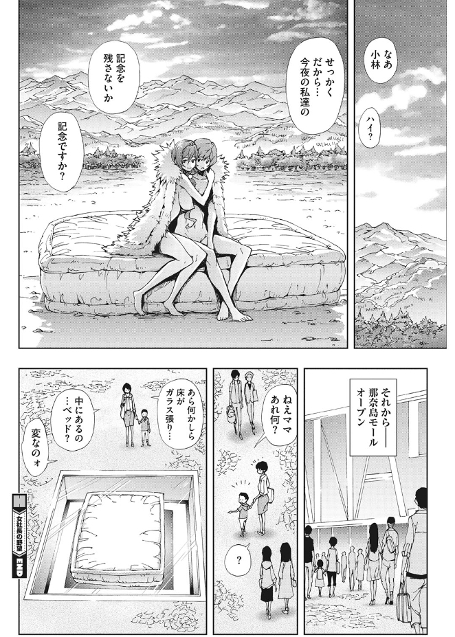 Kirei na Hito to H no Houteishiki