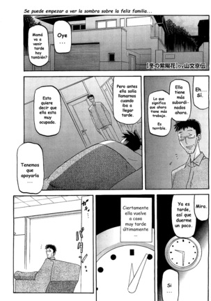 Winter Hydrangea - Page 49