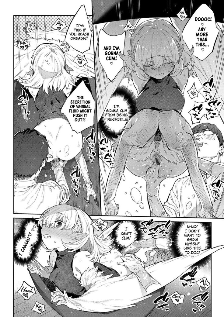 Ihou no Otome - Monster Girls in Another World
