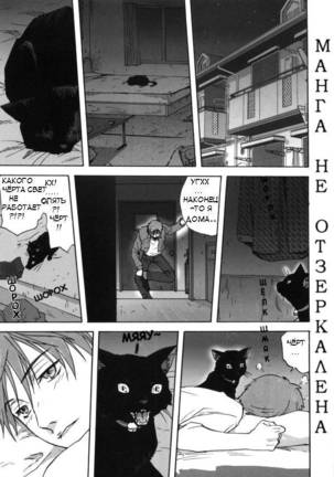 A Cat Repaying Kindness - Page 1