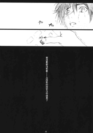 Ichigo MAX% 2 Page #31