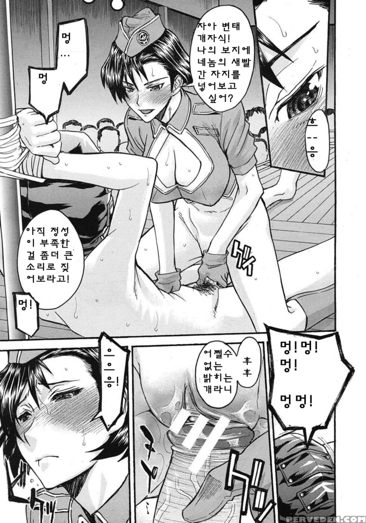 ミダラナシセン