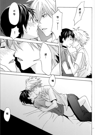 Nr.9 Page #14
