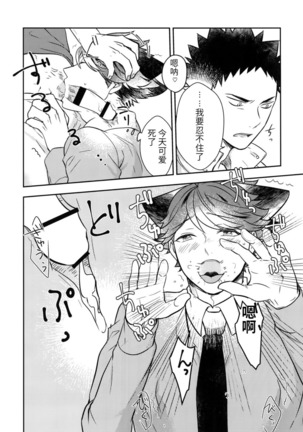 我想成为小岩的猫4 I want to become Iwa-chan's Cat! 4