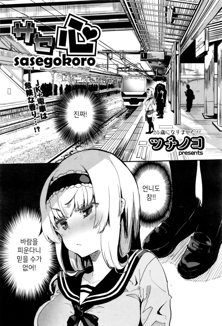 Sasegokoro