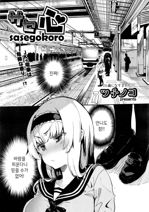 Sasegokoro