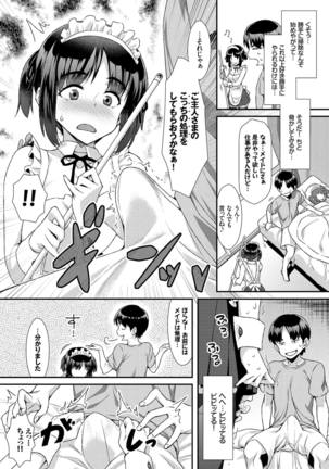 Nikutai Gohoushi ga Daisukikei Maid Vol.2 - Page 48