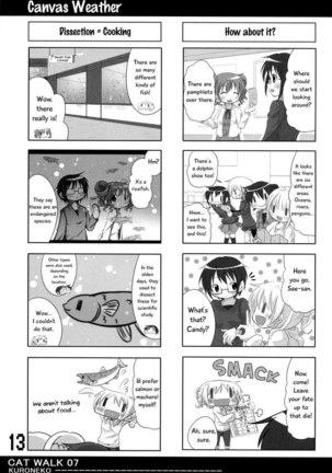 CAT WALK 07 Hidamari ? Magica - Page 12