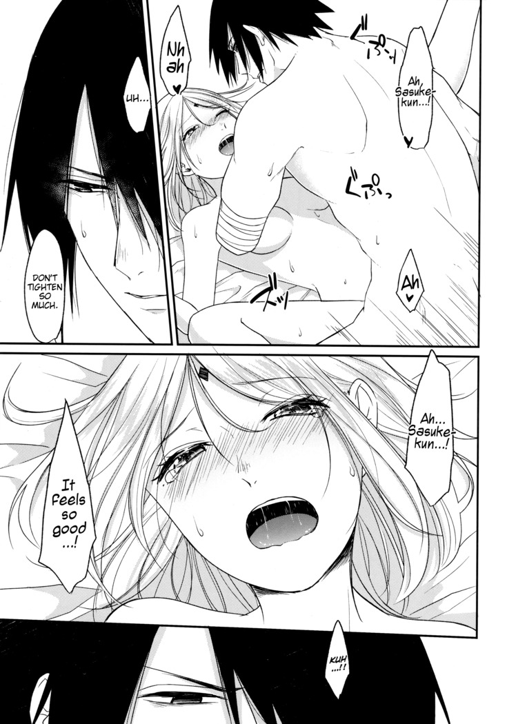 Ryuusei | Shooting star