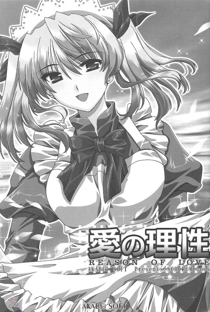 Ai no Risei - Reason of Love