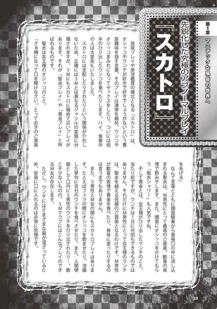 アブノーマル風俗入門 ラブドール風俗から、1000万円の風俗嬢まで