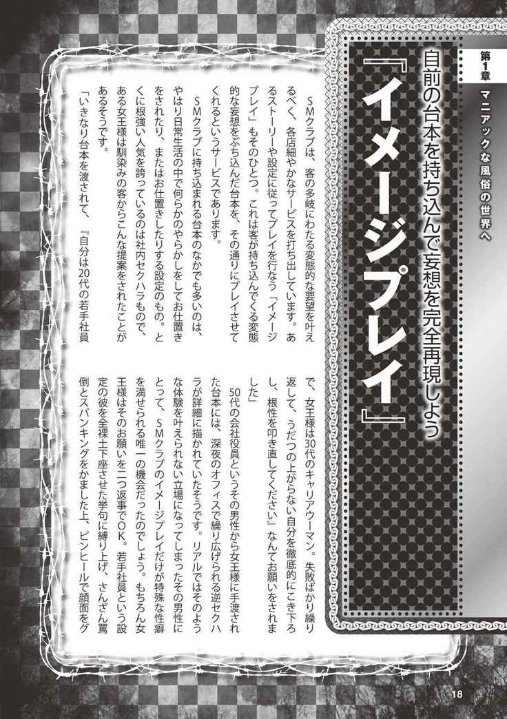 アブノーマル風俗入門 ラブドール風俗から、1000万円の風俗嬢まで