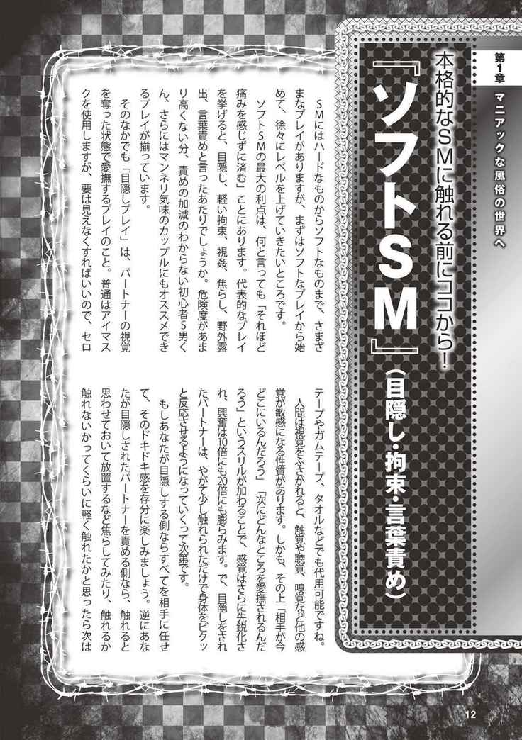 アブノーマル風俗入門 ラブドール風俗から、1000万円の風俗嬢まで