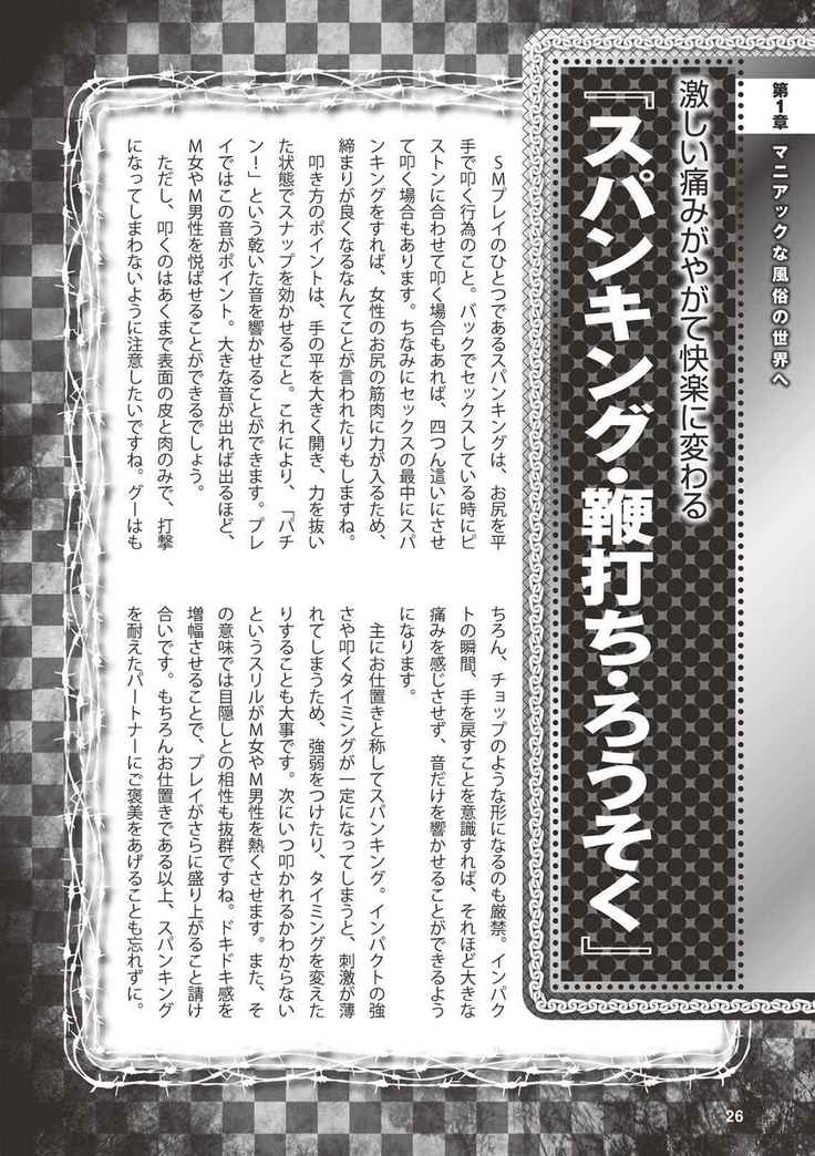 アブノーマル風俗入門 ラブドール風俗から、1000万円の風俗嬢まで