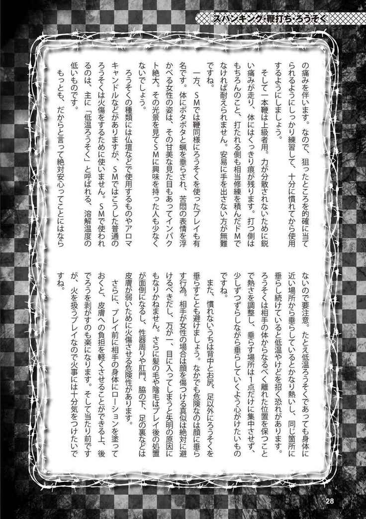 アブノーマル風俗入門 ラブドール風俗から、1000万円の風俗嬢まで