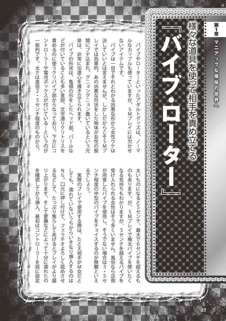 アブノーマル風俗入門 ラブドール風俗から、1000万円の風俗嬢まで